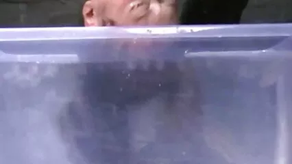 Non aver paura di essere la vecchie casalinghe troie versione sexy di te stesso.